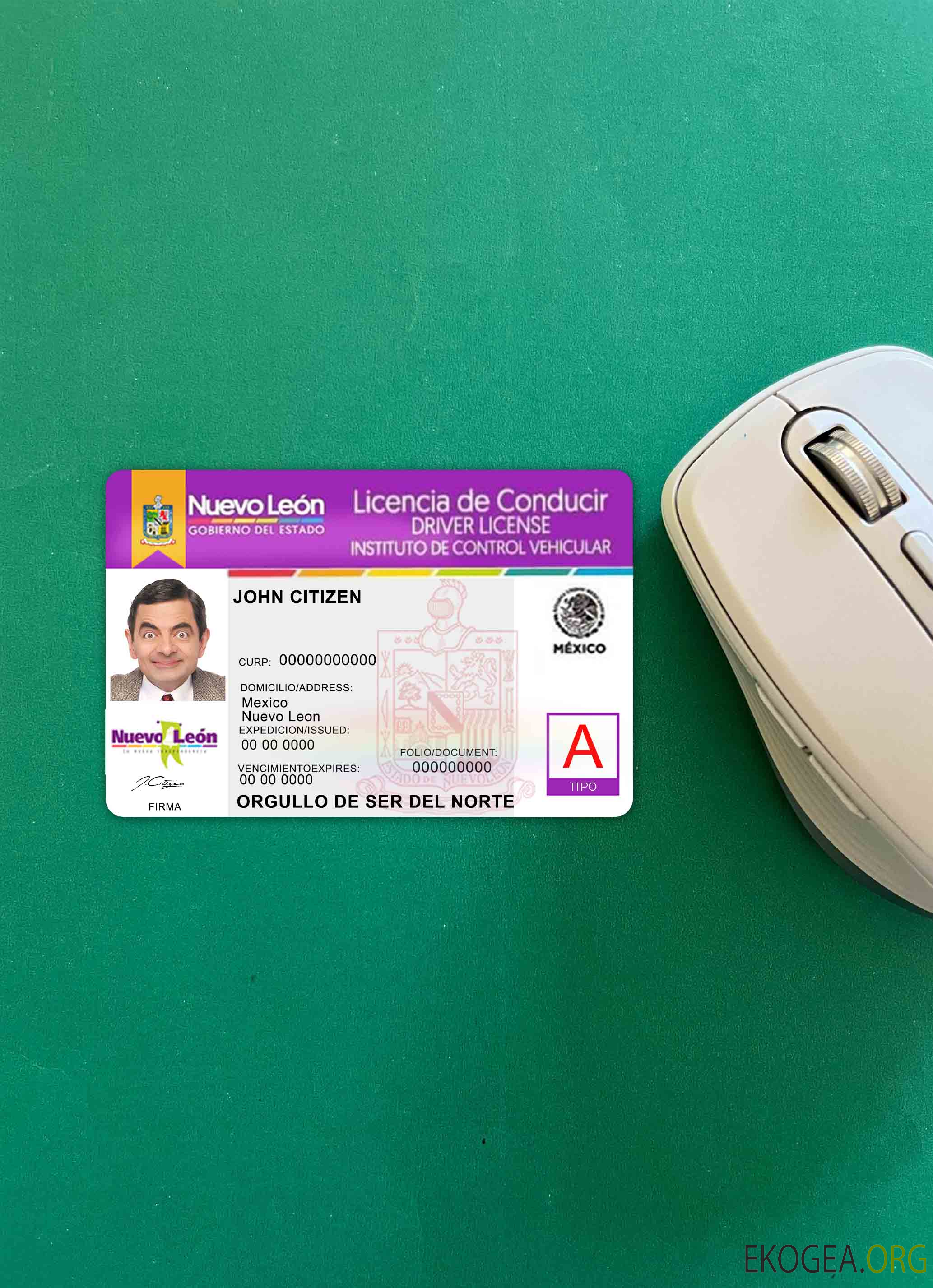Mexique Nuevo Leon permis de conduire photolook AVANT